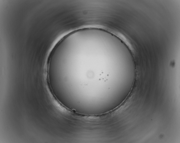 X0000101711140200807101402
