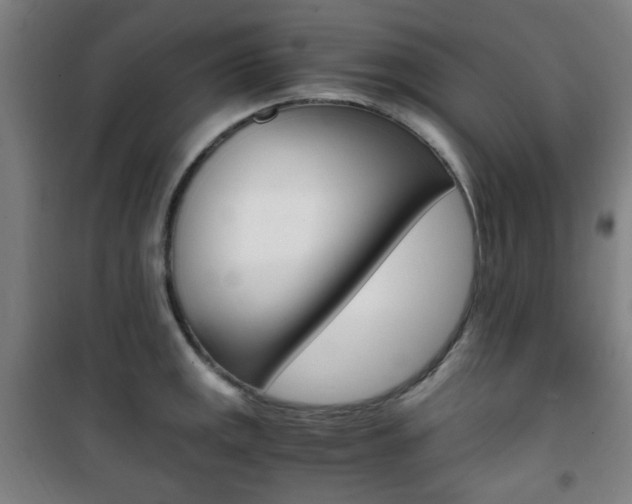 X0000101711141200807101402