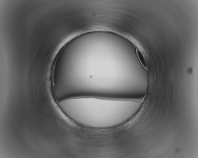 X0000101711142200807101402