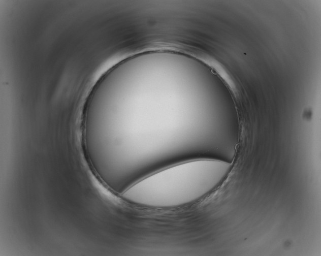 X0000101711143200807101402