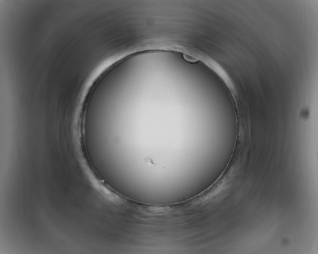 X0000101711144200807101403