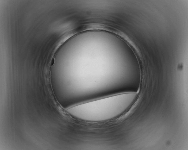 X0000101711145200807101403