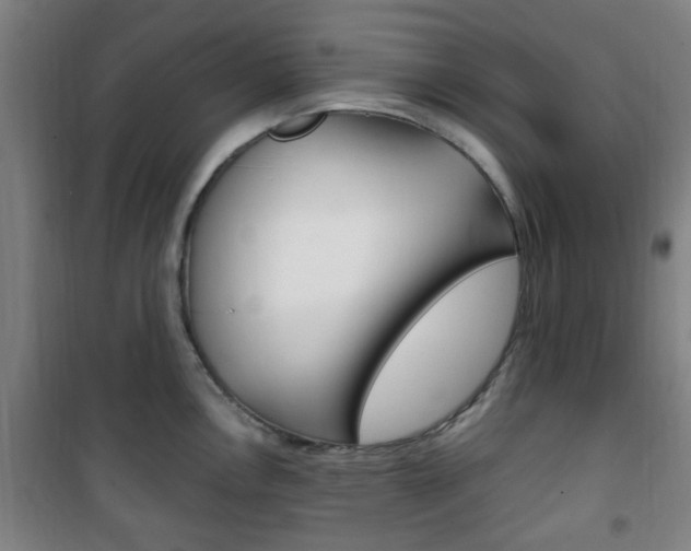 X0000101711146200807101403