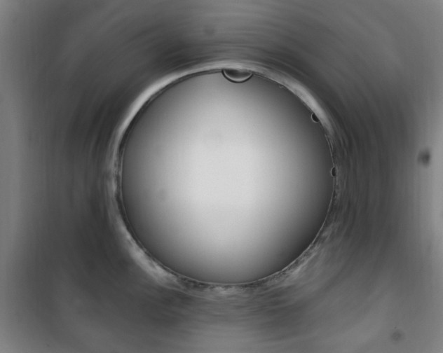 X0000101711148200807101403