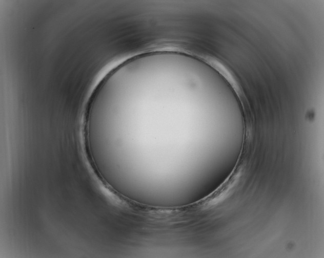 X0000101711149200807101403