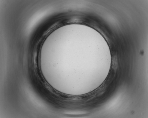 X0000101711150200807101403