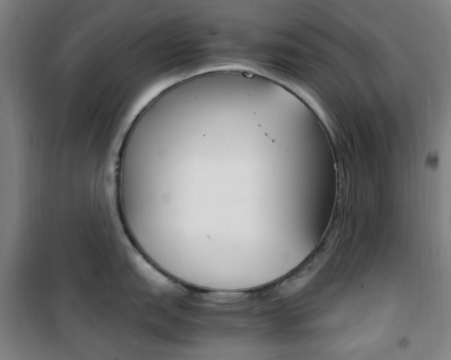 X0000101711151200807101403