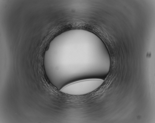 X0000101711153200807101402