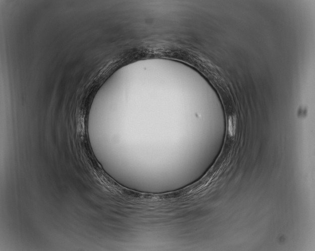 X0000101711155200807101402