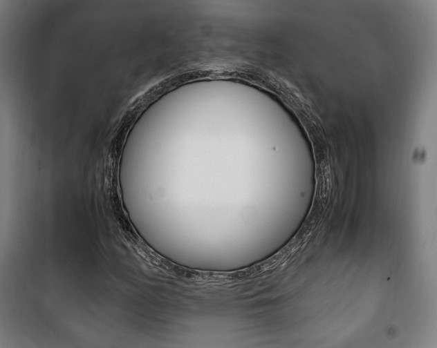 X0000101711158200807101402