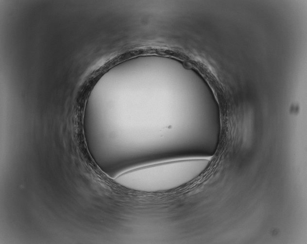 X0000101711159200807101402