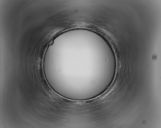 X0000101711161200807101402
