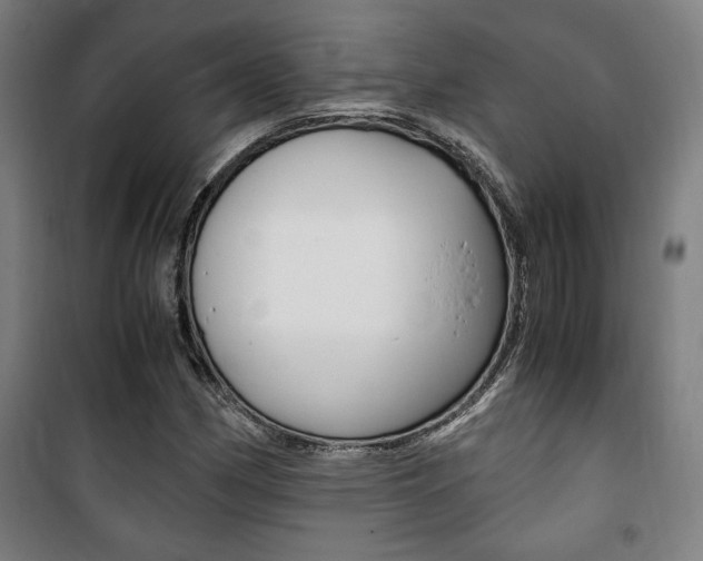 X0000101711162200807101402