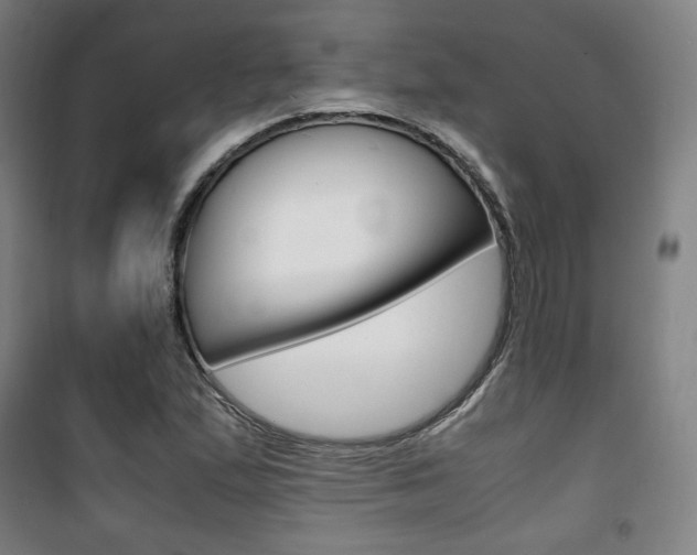X0000101711167200807101402