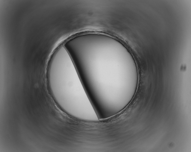 X0000101711168200807101402