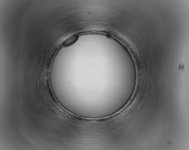 X0000101711169200807101402