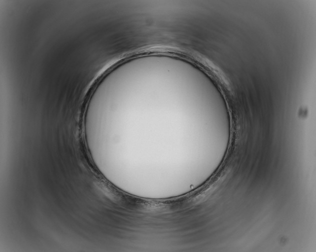 X0000101711170200807101402