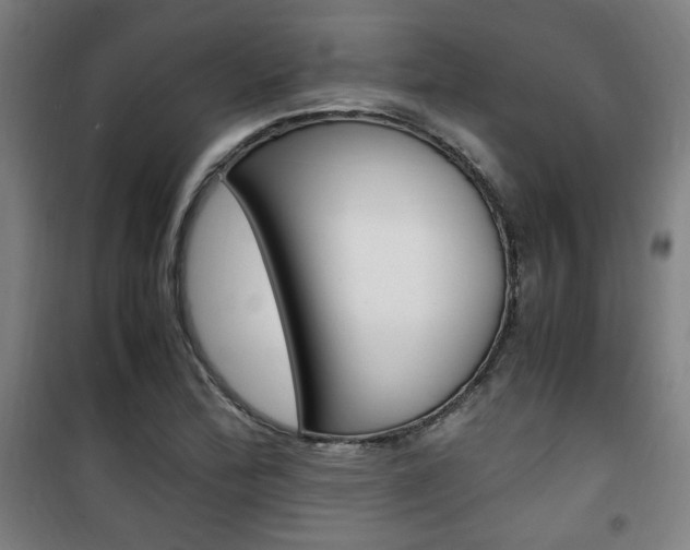 X0000101711172200807101402
