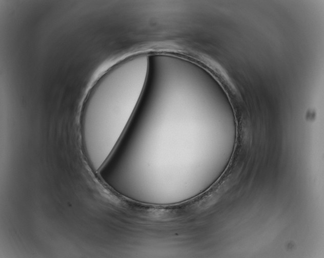 X0000101711176200807101402
