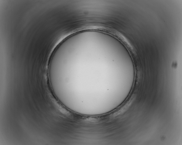 X0000101711178200807101402