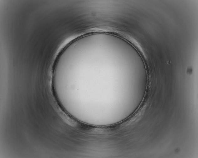 X0000101711179200807101402