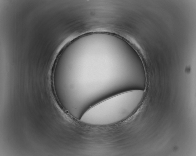 X0000101711181200807101401