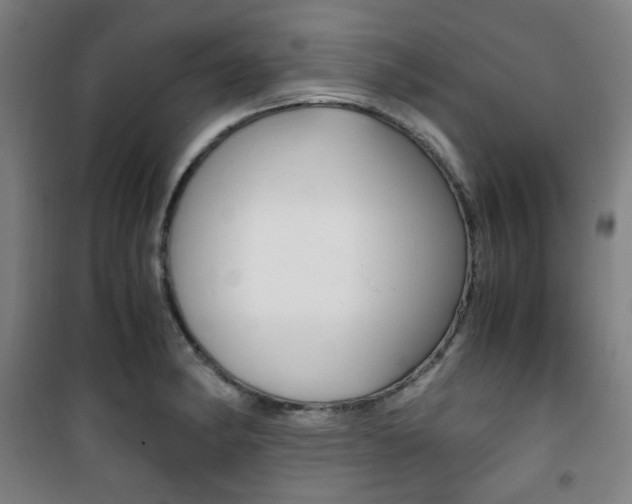 X0000101711182200807101401