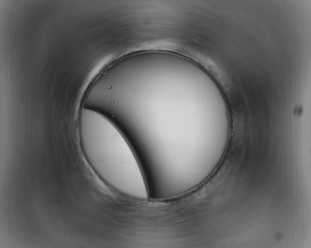 X0000101711184200807101401