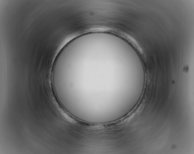 X0000101711186200807101401