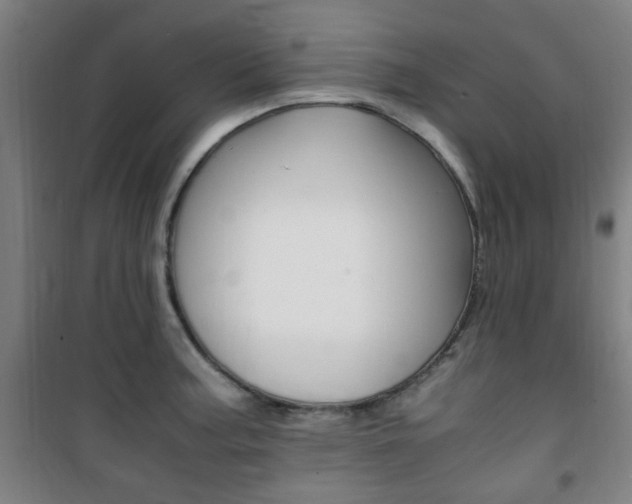 X0000101711187200807101401