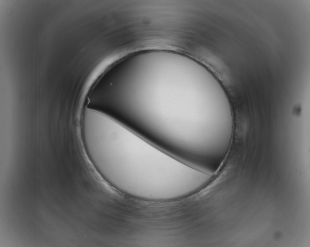 X0000101711188200807101401
