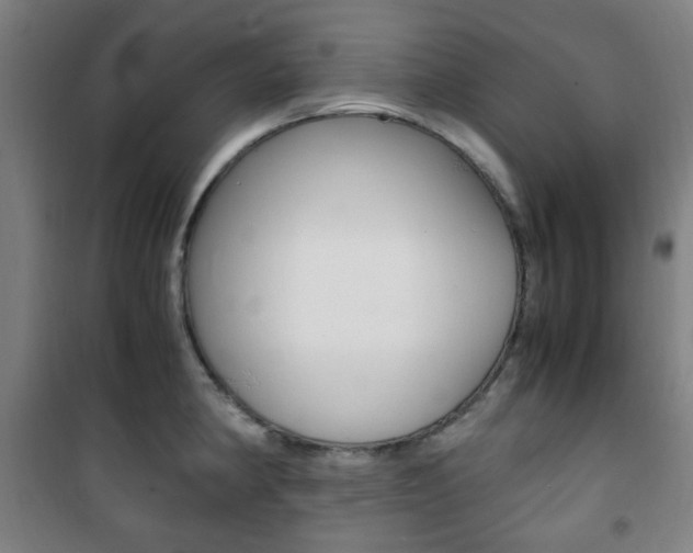 X0000101711190200807101401