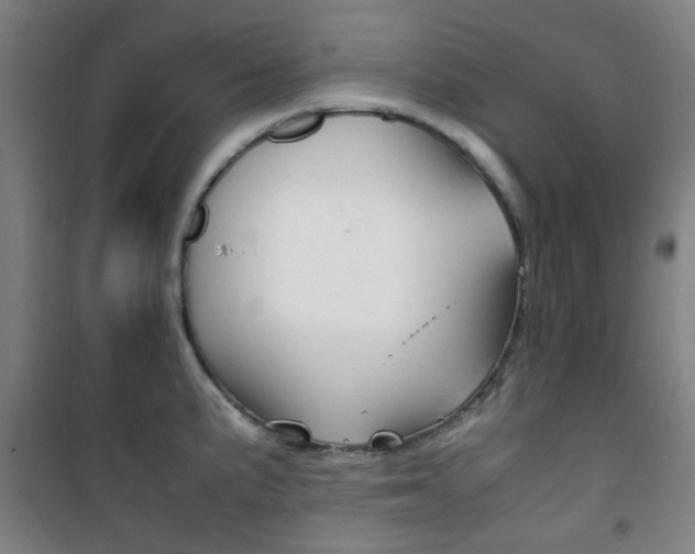 X0000101711191200807101401