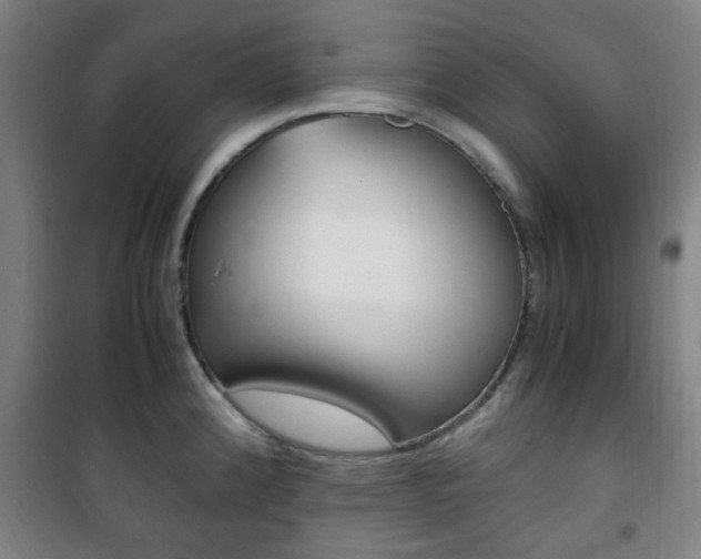 X0000101711192200807101401