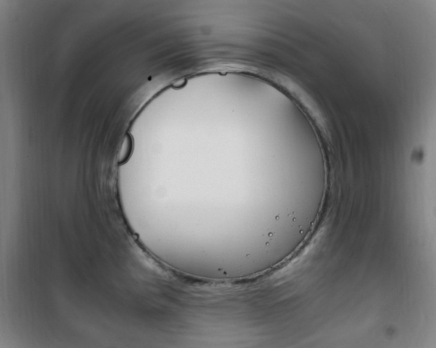 X0000101711193200807101401