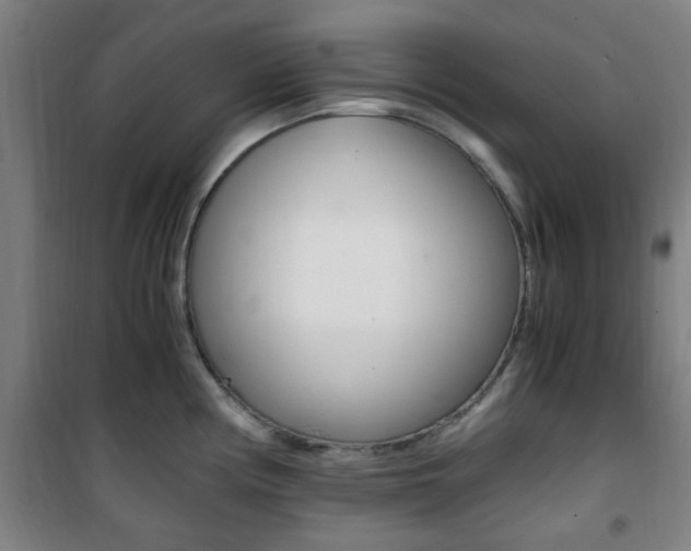 X0000101711194200807101401