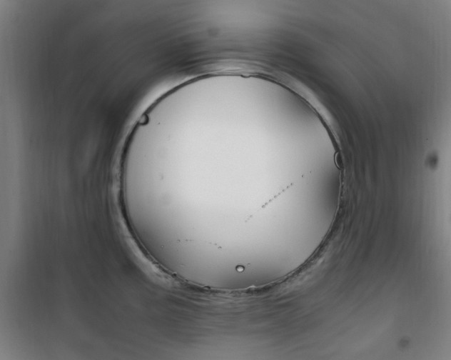 X0000101711195200807101401