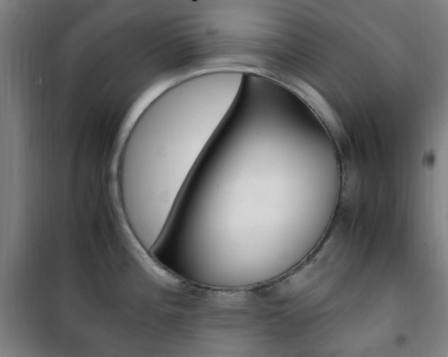 X0000101711196200807101401
