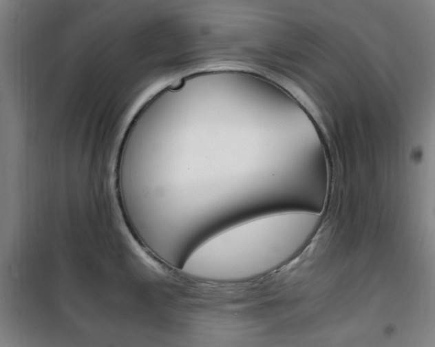 X0000101711197200807101401