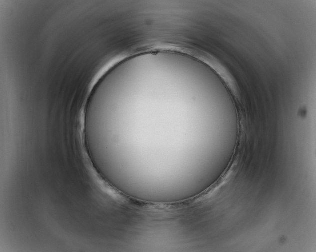 X0000101711198200807101401