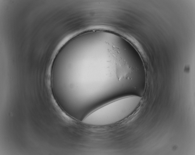 X0000101711199200807101401