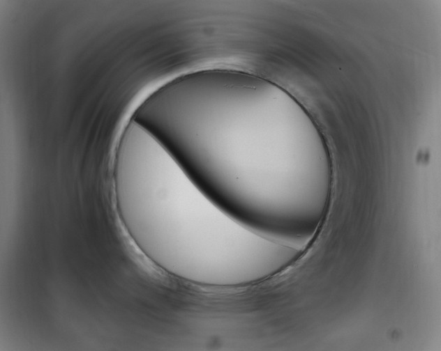 X0000101711200200807101401