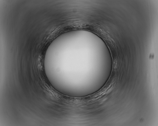 X0000101711202200807101401