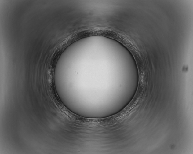 X0000101711204200807101401