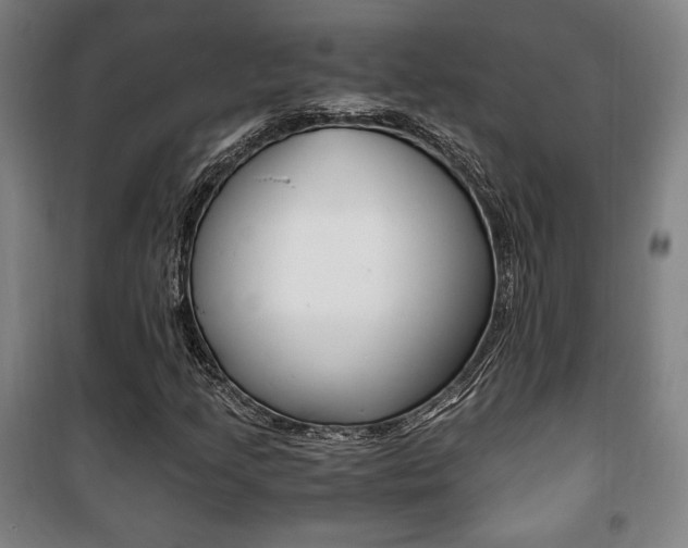 X0000101711205200807101401
