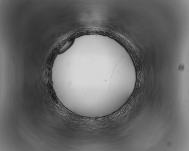 X0000101711207200807101401