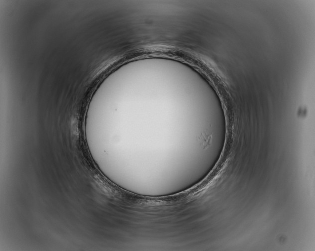 X0000101711209200807101401