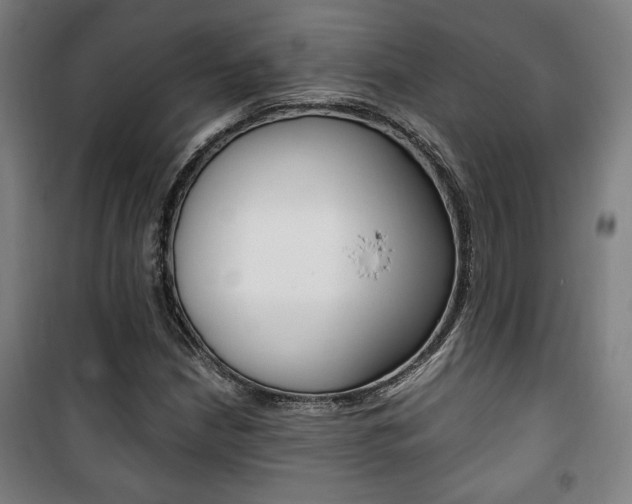 X0000101711210200807101401