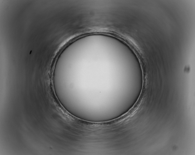 X0000101711212200807101401