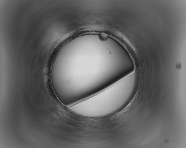 X0000101711213200807101401
